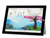 和林格尔Surface 无法开启、Windows 无法启动或电池无法充电